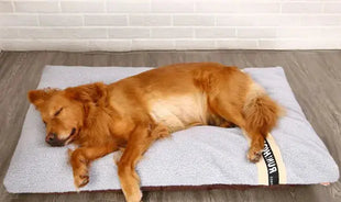 Plush Pet Bed Yousef