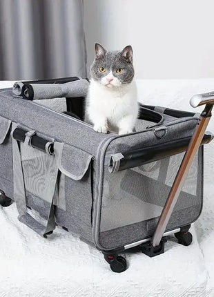Extra Large Portable Pet Trolley Case, Detachable Dog Trolley Case, Large Foldable Pet Bag Cat Travel Carrier Bag Dropshipman