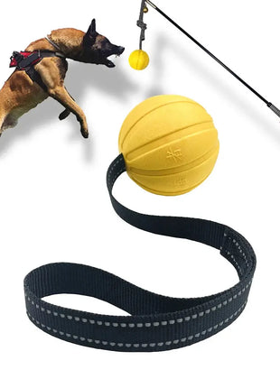 Dog Toy Balls On a Rope for Small Medium Large Dogs Chewers, Durable Interactive Ball for Training Dogs, EVA Foam Ball Floats Dropshipman