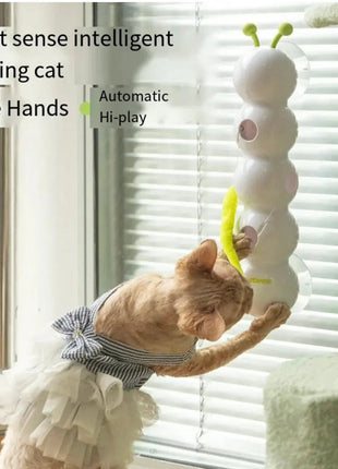 لعبة القط الذكي كارتربيلر PfotenSpaß