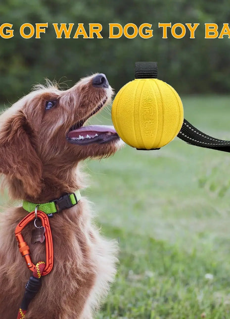 Dog Toy Balls On a Rope for Small Medium Large Dogs Chewers, Durable Interactive Ball for Training Dogs, EVA Foam Ball Floats Dropshipman