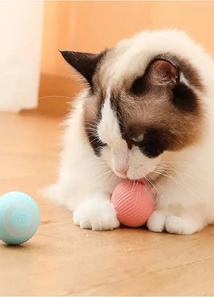 PlayPaws - لعبة الكرة الكهربائية SmartPlay للحيوانات الأليفة Home Convenience Global Store