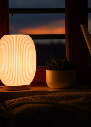 Boa Desk Lamp – Modern Ambient Lighting for Home & Office Shopverse