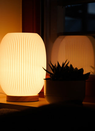 Boa Desk Lamp – Modern Ambient Lighting for Home & Office Shopverse