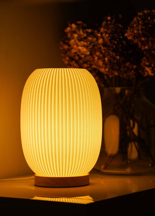 Boa Desk Lamp – Modern Ambient Lighting for Home & Office Shopverse
