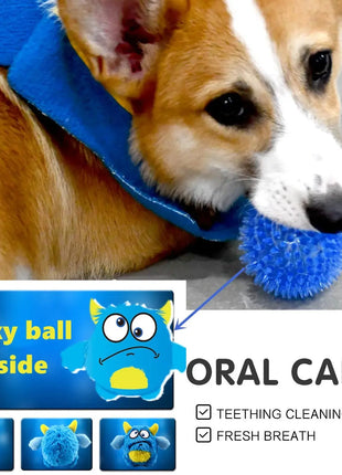 Squeaker Interactive Dog Toy Balls for Small Dogs Dropshipman