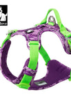 Fioletowa uprząż dla psa / XL 81-107 cm klatka piersiowa / CHINY