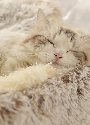 Plushy Pet Bed™ PfotenSpaß