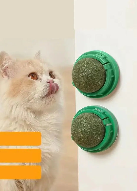 The Catnip Cat Wall Stick-on Ball Toy Scratchers Treats Healthy Natural Removes Balls to Promote Digestion Cat Grass Snack Dropshipman