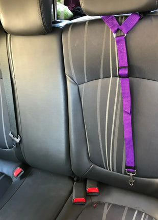Solid Color Two-in-one Pet Car Seat Belt Nylon Lead Leash Backseat Safety Belt Adjustable Dogs Harness Collar Pet Accessories Dropshipman
