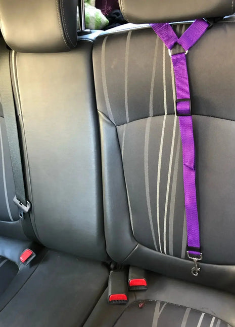 Solid Color Two-in-one Pet Car Seat Belt Nylon Lead Leash Backseat Safety Belt Adjustable Dogs Harness Collar Pet Accessories Dropshipman