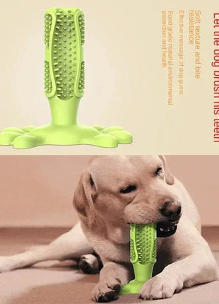 Pet Dog Cactus Interactive Rubber Chew Toys For Small Large Dogs Tooth Cleaning Toothbrush For Medium Large Dogs Treat Dispenser Dropshipman