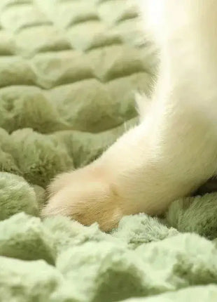 Machine Washable Dog Bed Removable Orthopedic Puppy Cushion Winter Memory Foam Dog Pillow For Small Medium Large Dogs And Cats Dropshipman