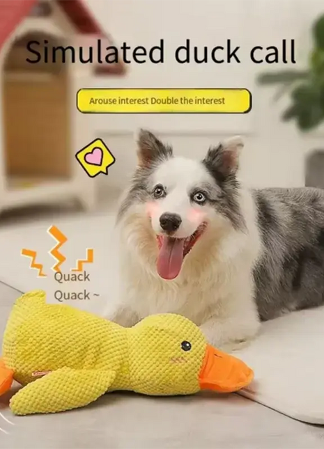 Dog sleeping with a dog hug duck toys to relieve boredom of little yellow duck pet interactive plush doll pet supplies Dropshipman