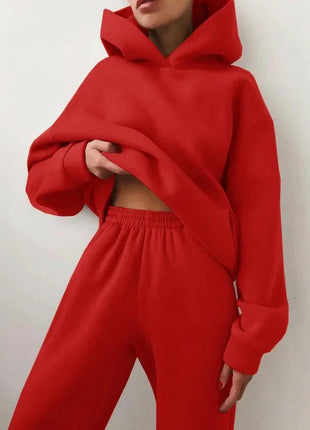 Plus Size Fashionable Long Sleeve Sweatshirt And Pants Set Autumn Winter Women's Casual Wear Two Piece Suit Comfortable plus ... Oyao Store