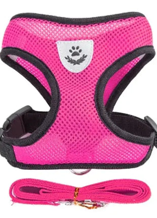 تسخير القطط والكلاب Stone's Store