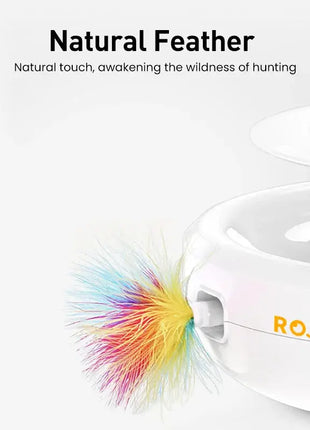 ROJECO 2 في 1 ألعاب القط الذكية التلقائي ريشة المرح الكرة لعبة مجموعة للقط الكلب 5 أوضاع الإلكترونية التفاعلية الحيوانات الأليفة لعبة الملحقات ROJECO Choice Store