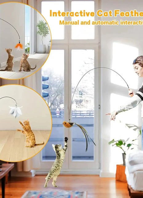 Cats Toys Feathers Wand Interactive Toy Kitten Toys with Super Suction Cup Detachable 2 PCS Feather Replacements Cat Accesorios Dropshipman