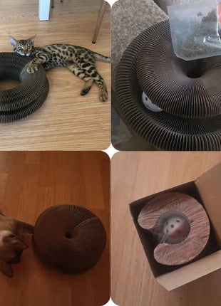 Cat Accordion Cat Toy Cat Toy Ball Scratch Pad Magic Organ Cat Scratching Board Cat Scratcher DAICHANG You Home Official Store