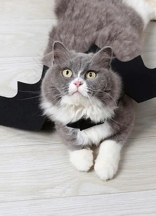 Bat Wings Costume, Small, Black Felt, for Dogs & Cats, Halloween Pet Apparel Stone's Store