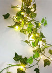 5-Twocolor lvy vine / 2M 20LED-Battery