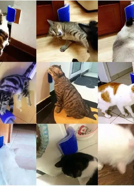 Cat Scratcher Massager for Cats Scratching Pets Brush Remove Hair Comb Grooming Table Dogs Kitten Care Royal Canin Accessories Dropshipman