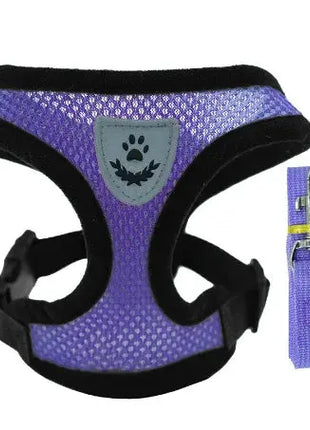 تسخير القطط والكلاب Stone's Store