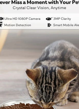 4L 5G Net Automatic Cat Feeder Smart Pet Feeder For Cats Dogs Food Dispenser With Camera Recorder Timing Video Feeding Bowl Dropshipman