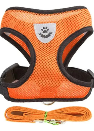 تسخير القطط والكلاب Stone's Store