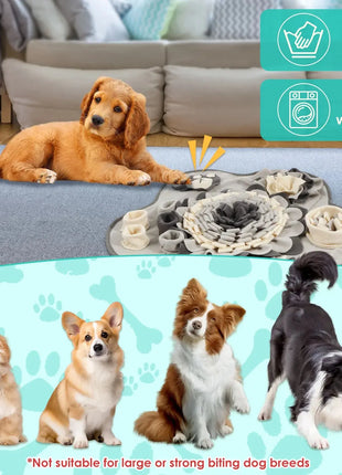 Dog Snuffle Mat Pet Toys Interactive Training Sniff Natural Feeding Mat Squeaker Dog Treat Relieve Pressure Snuffle Toys Dropshipman