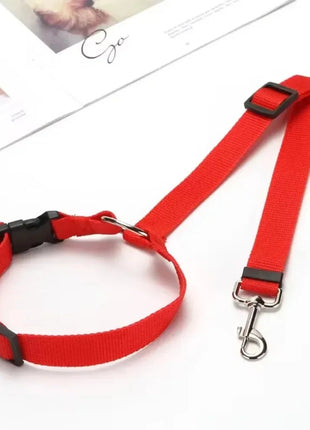 Pet Seat Belt Bobit Store