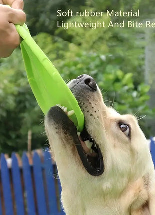 Silicone Flying Disc Toys Multifunction Pet Puppy Training Toys Outdoor Interactive Game Pet Dogs Supplies Dropshipman