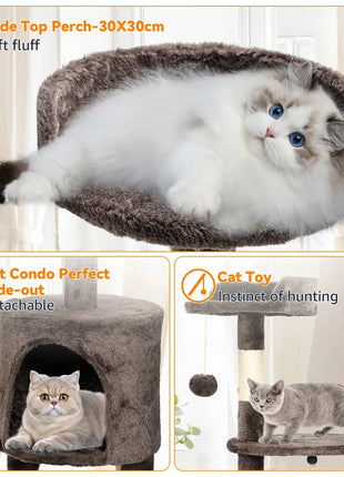 Passerscat Cat Trees Cat Climbing Frame For Indoor Cats Multi-Level With Scratching Posts Cat Tower Padded Top Perches and Condo Dropshipman