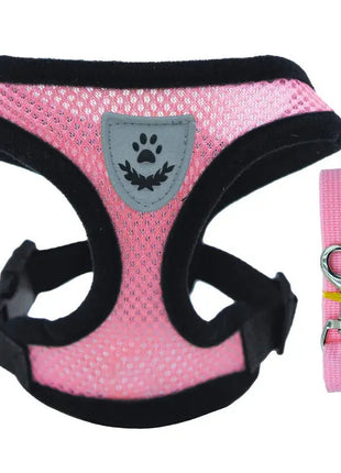 تسخير القطط والكلاب Stone's Store