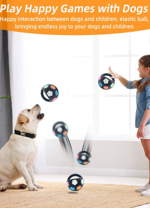 New football tennis ball shaped pet dog toys, durable teething relief to accompany outdoor training squeak toys Dropshipman