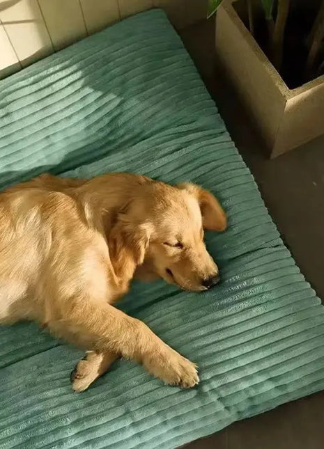 Winter Warm Pet Dog Bed Corduroy Dog Sleeping Mat Soft Pet Mat for Small Medium Large Dogs Detachable Washable Puppy Bed Dropshipman