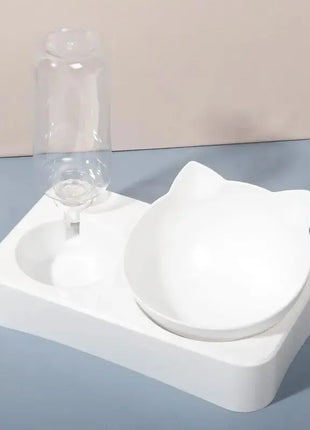 15° Tilt Pet Bowl with Automatic Water Feeder for Dogs Stone's Store