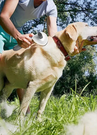 Pet Dog Brush Cat Comb Self Cleaning Pet Hair Remover Brush Chinese Gold Leaf Store