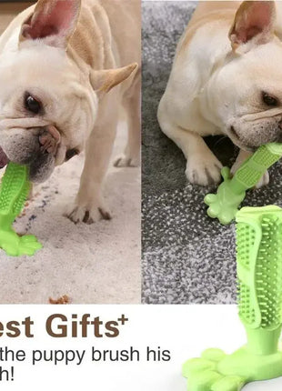 Pet Dog Cactus Interactive Rubber Chew Toys For Small Large Dogs Tooth Cleaning Toothbrush For Medium Large Dogs Treat Dispenser Dropshipman