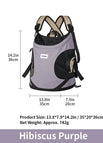 Hibiscus Purple