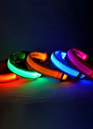 LED Dog Collar – USB Rechargeable, Waterproof & Night Safety Light YUEYUEGOU Store