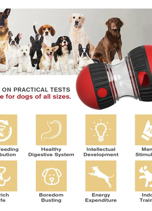 Dog Toy Improve IQ Interactive Puppy Toys For Small Medium Dogs Cat Slow Feeder Ball Labrador Golden Retriever Pet Supplies Dropshipman