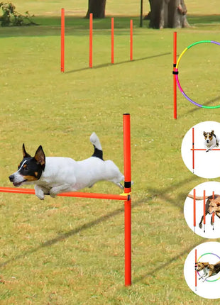 Outdoor Dog Obstacle Training Set Pet Agility Equipment Jumping Set Dog Training Accessories Dog Obstacle Course Pet Supplies Dropshipman