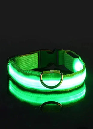 LED Dog Collar – USB Rechargeable, Waterproof & Night Safety Light YUEYUEGOU Store