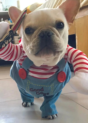 Halloween Pet Costume – Funny Dog & Cat Outfit for Small/Medium Breeds Stone's Store