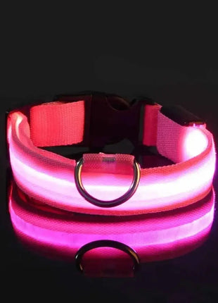 LED Dog Collar – USB Rechargeable, Waterproof & Night Safety Light YUEYUEGOU Store