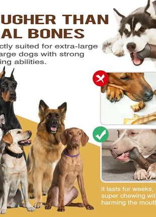 Big Dog Chew Toys Fun Squeaky Safe Materials Super Durable Tree Branch Designed Tougher than Bones Indoor Outdoor Pet Supplies Dropshipman