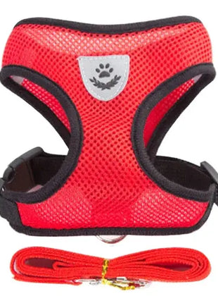 تسخير القطط والكلاب Stone's Store