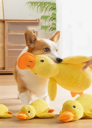 Dog sleeping with a dog hug duck toys to relieve boredom of little yellow duck pet interactive plush doll pet supplies Dropshipman
