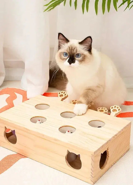 Cat Toys Interactive Whack-a-mole Solid Wood Toys for Indoor Cats Kitten Catch Mice Game Dropshipman